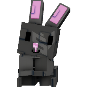 Black Bunny