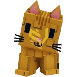 Orange Tabby