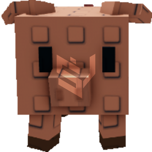 Pig