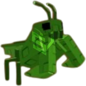 Praying Mantis